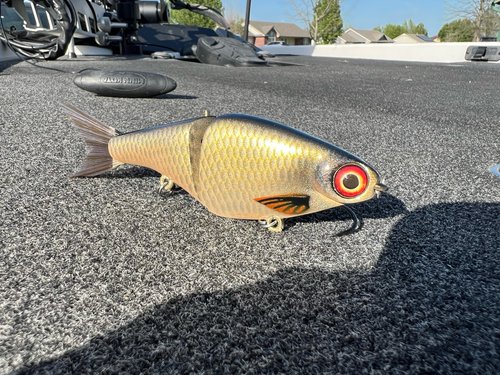 Biggs Custom Baits Minnow