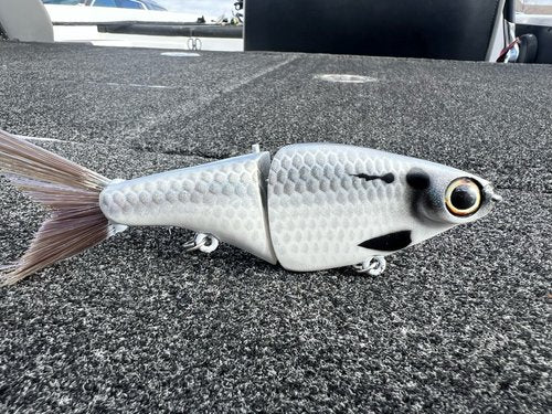 Biggs Custom Baits Minnow