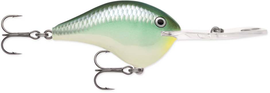 Rapala DT20 Series Crankbaits
