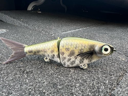 Biggs Custom Baits Minnow