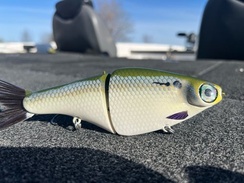 Biggs Custom Baits Denali