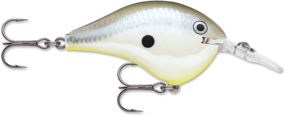 Rapala DT6 Series Crankbaits