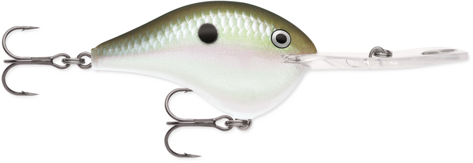 Rapala DT20 Series Crankbaits