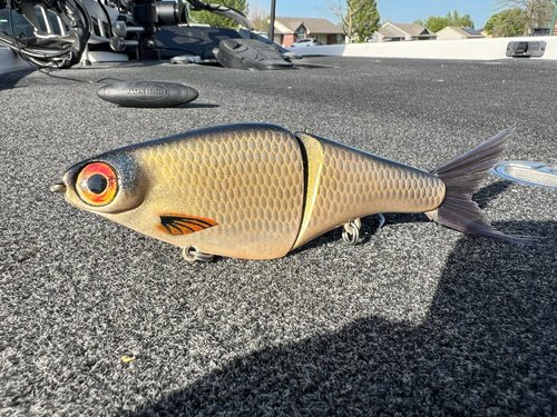 Biggs Custom Baits B1