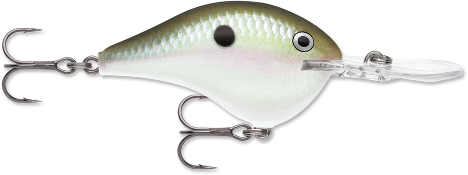 Rapala DT16 Series Crankbaits