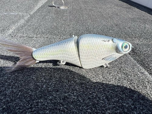 Biggs Custom Baits B1