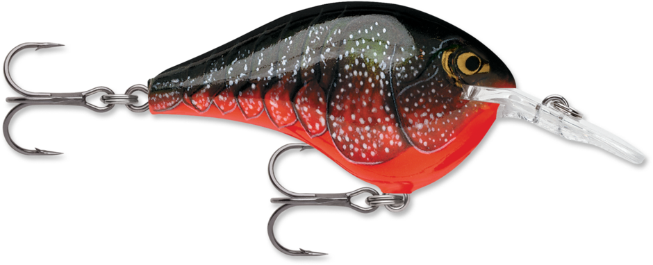 Rapala DT6 Series Crankbaits