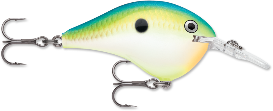 Rapala DT6 Series Crankbaits