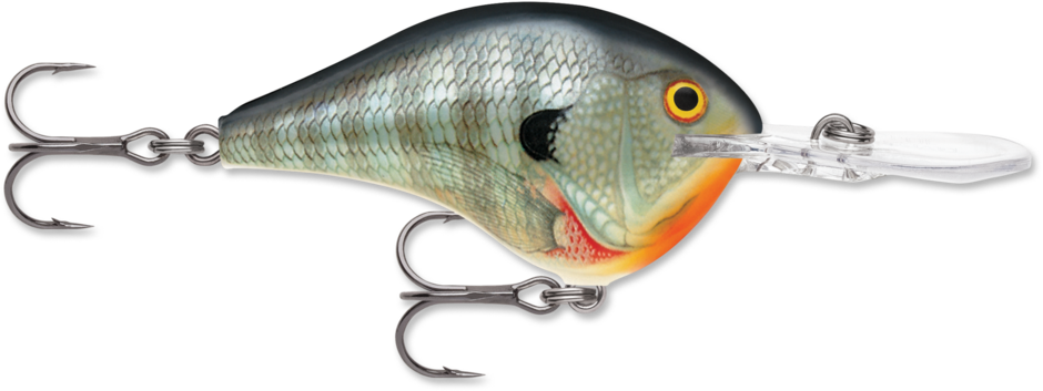 Rapala DT10 Series Crankbaits