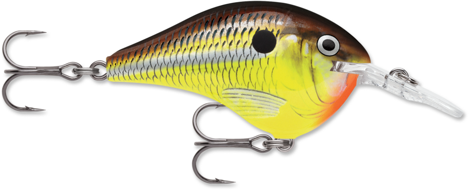 Rapala DT8 Series Crankbaits