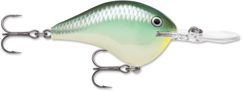 Rapala DT16 Series Crankbaits