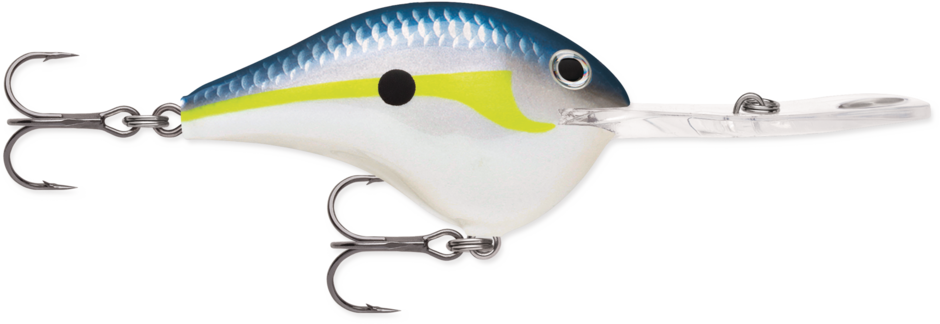Rapala DT20 Series Crankbaits