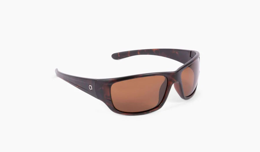 Optic Nerve Contra Sunglasses