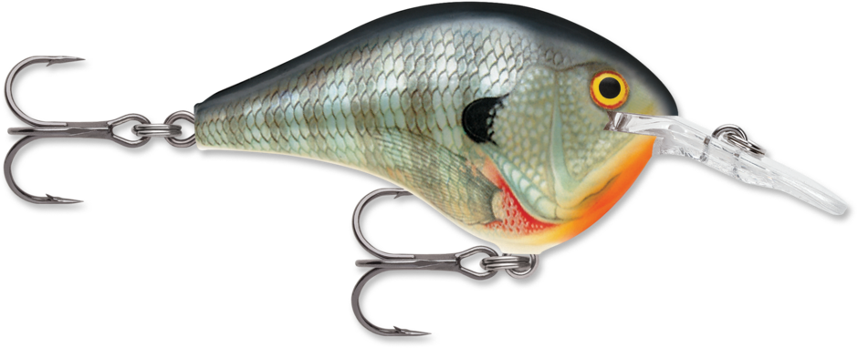 Rapala DT8 Series Crankbaits