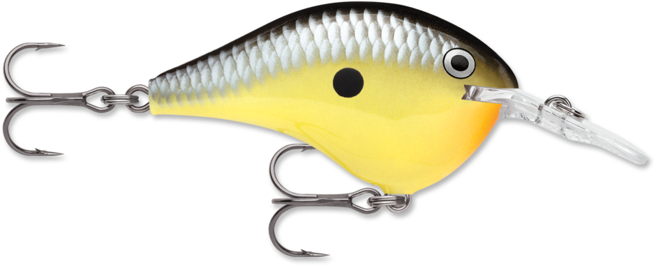 Rapala DT8 Series Crankbaits