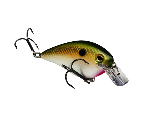 Strike King KVD 1.5 HC Squarebill Silent Crankbait