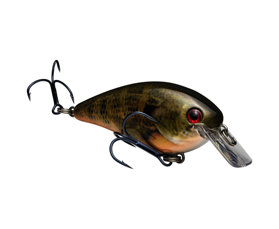 Strike King KVD 1.5 HC Squarebill Silent Crankbait