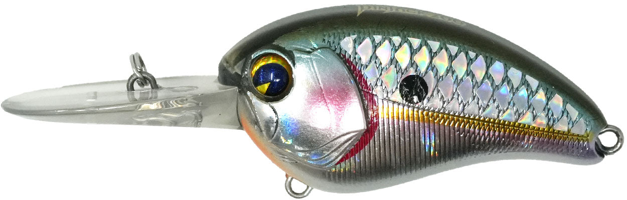 ima Pinjack 200 Crankbait