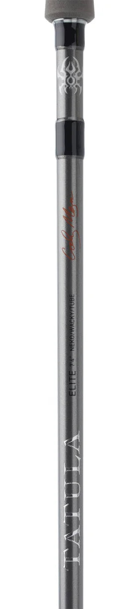 Daiwa Tatula Elite AGS Spinning Rods
