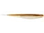 Berkley Lab Series Minnow