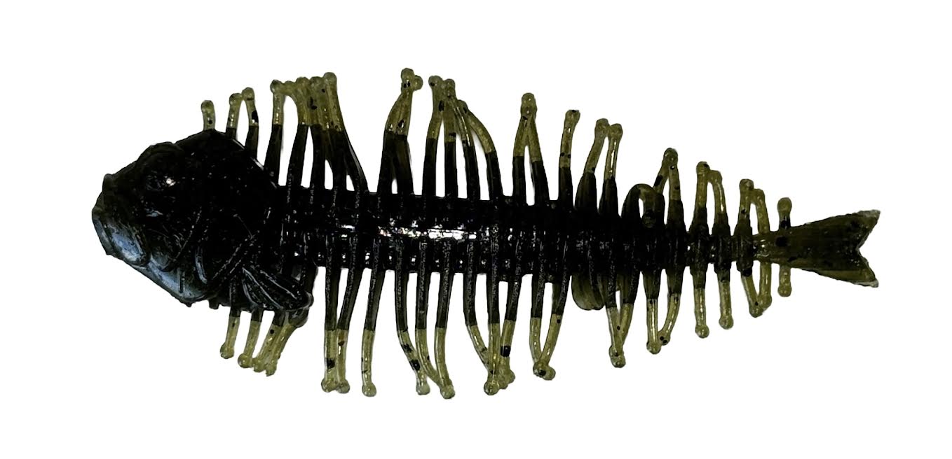 DStyle Geelacanth