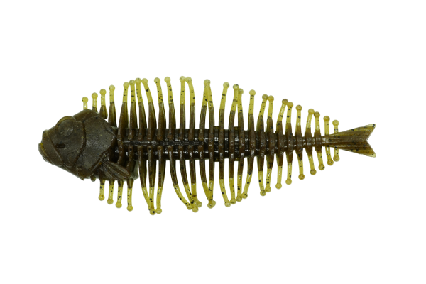 DStyle Geelacanth