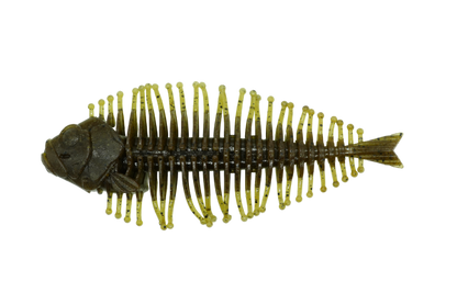 DStyle Geelacanth