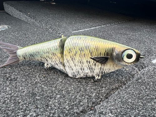 Biggs Custom Baits B1