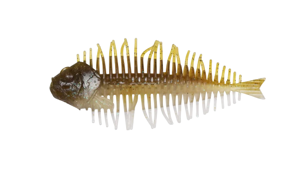 DStyle Geelacanth