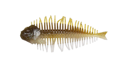 DStyle Geelacanth
