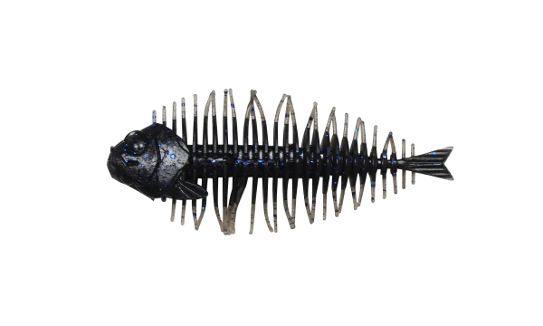 DStyle Geelacanth
