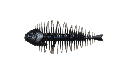 DStyle Geelacanth