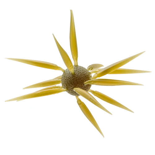 Hideup Coike Fish L (Elastomer)