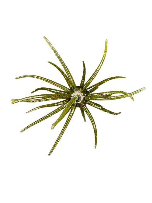 Hag's Prickly Pear 19mm Creature Bait