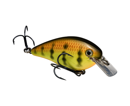 Strike King KVD 1.5 HC Squarebill Silent Crankbait