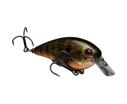 Strike King KVD 1.5 HC Squarebill Silent Crankbait
