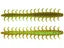 NetBait BaitFuel HexTek Dirty Thirty Worm