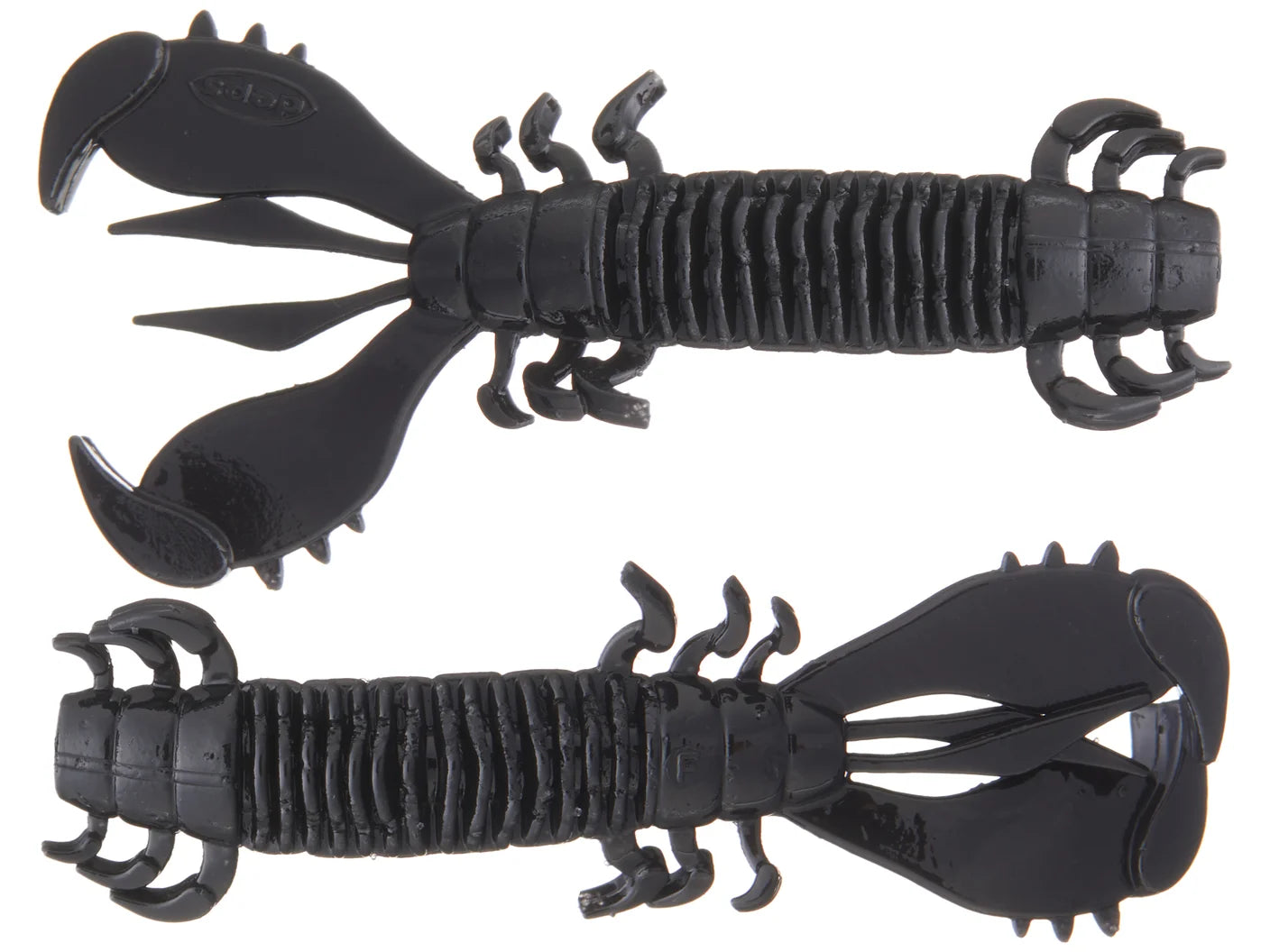 Deps MS Craw