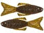 NetBait BaitFuel HexTek Bull Bream Creature Bait