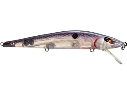 SPRO Mike McClelland McStick 110 Jerkbait